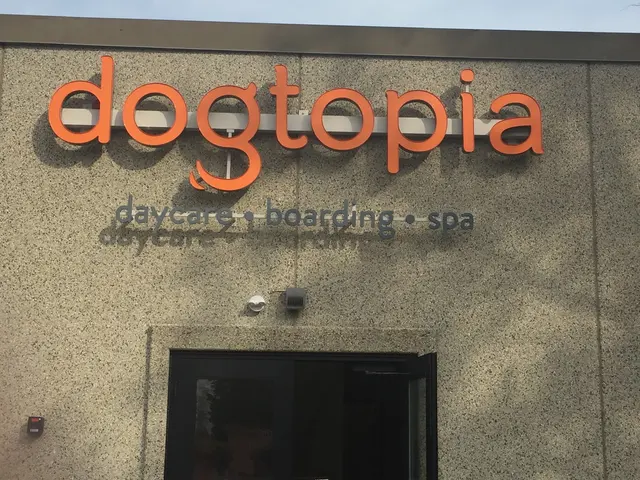 Dogtopia of Pewaukee — photo from the business 1