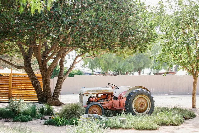 Maravilla Gardens — photo from the business 11