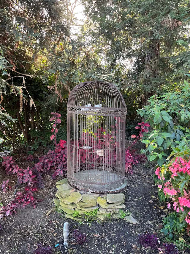 Customer photo of work by Maravilla Gardens, from Ashish Aggarwal's review