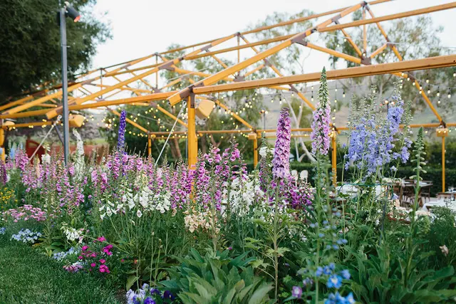 Maravilla Gardens — photo from the business 10
