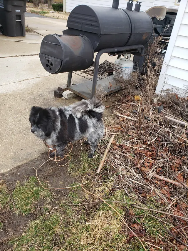 Customer photo from Myst's review