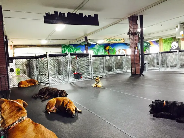 Happy Paws Grooming & Daycare — photo from the business 7