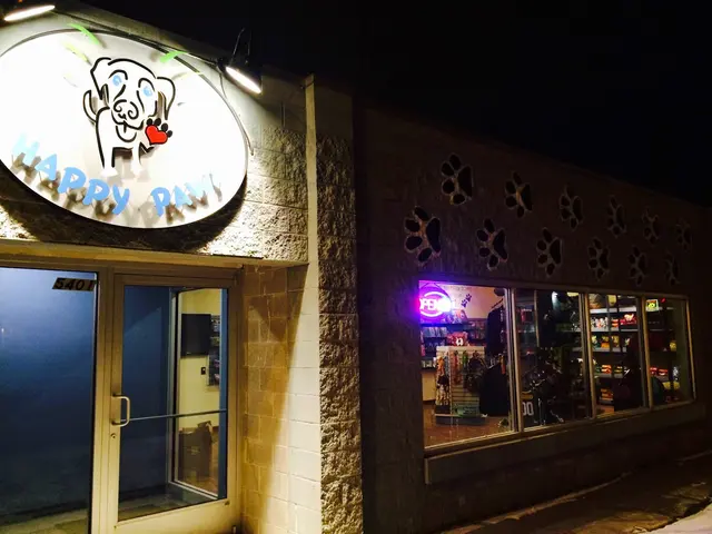 Happy Paws Grooming & Daycare — photo from the business 5
