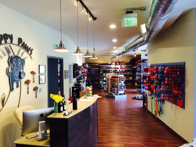 Happy Paws Grooming & Daycare — photo from the business 4