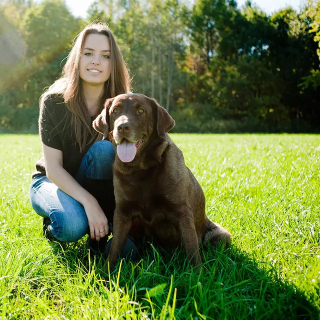 Happy Paws Grooming & Daycare — photo from the business 6