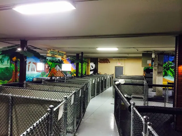 Happy Paws Grooming & Daycare — photo from the business 2