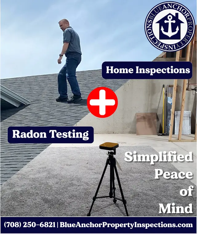 Blue Anchor Property Inspections — photo from the business 6