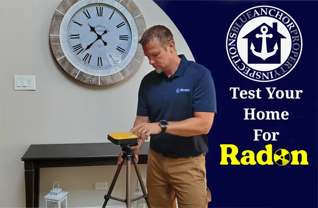 Blue Anchor Property Inspections — photo from the business 3