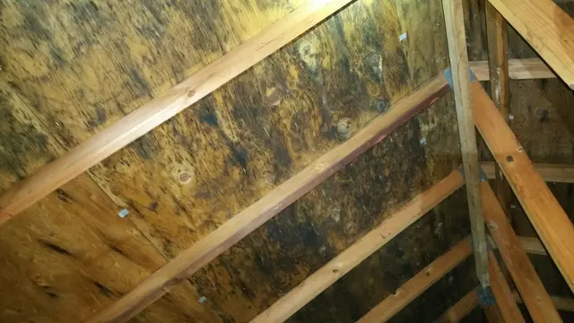 Ultimate Home Inspection Inc — photo from the business 7