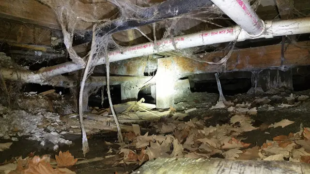 Ultimate Home Inspection Inc — photo from the business 5