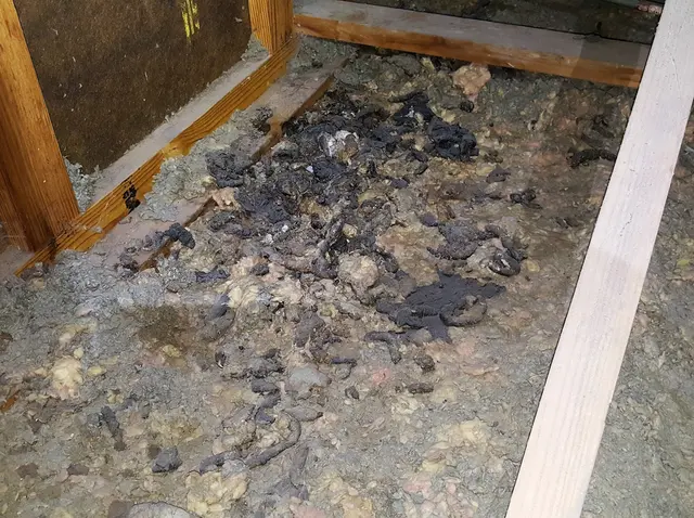 Ultimate Home Inspection Inc — photo from the business 8