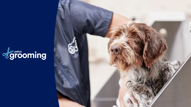 Petco Grooming — photo from the business 1