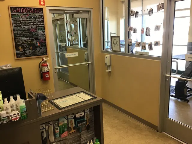Petco Grooming — photo from the business 4