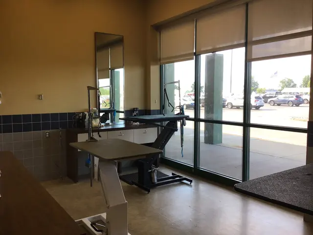 Petco Grooming — photo from the business 12