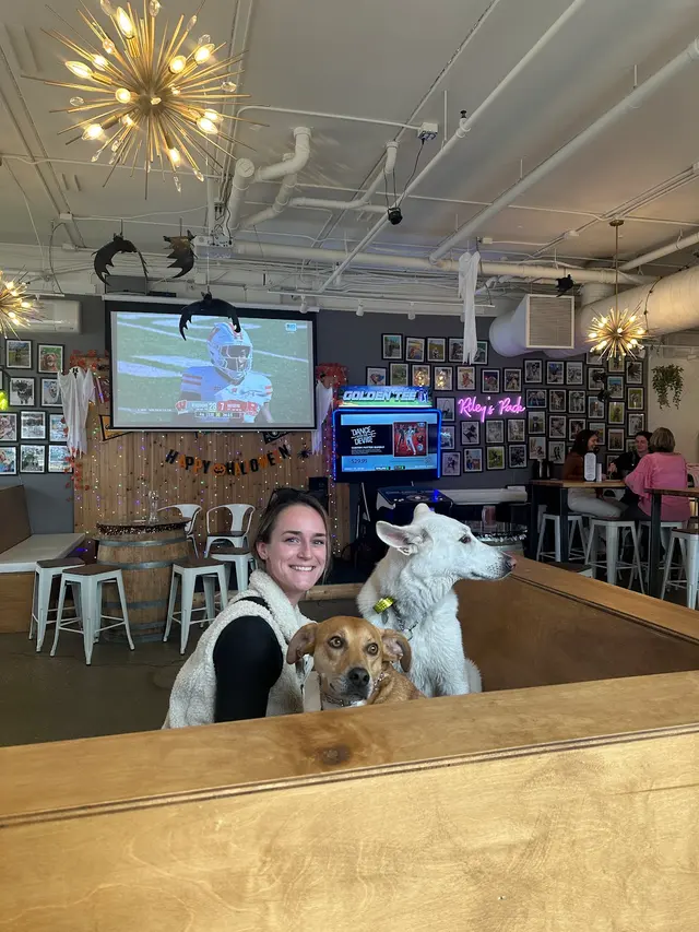 ABCDog Walkers+ — photo from the business 11