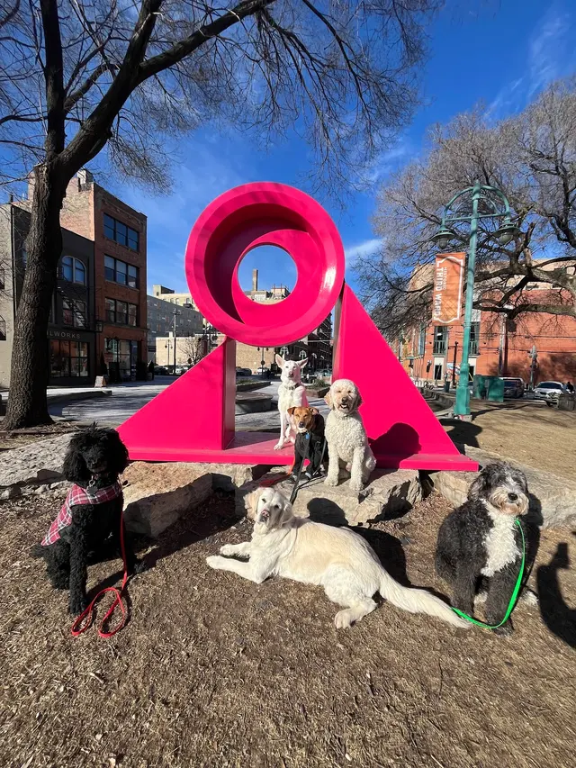 ABCDog Walkers+ — photo from the business 9