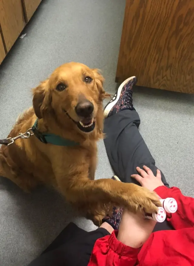 Cato Pet Hospital — photo from the business 4