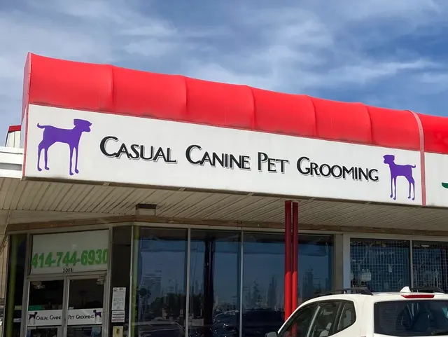 Casual Canine Pet Grooming — customer photo 5