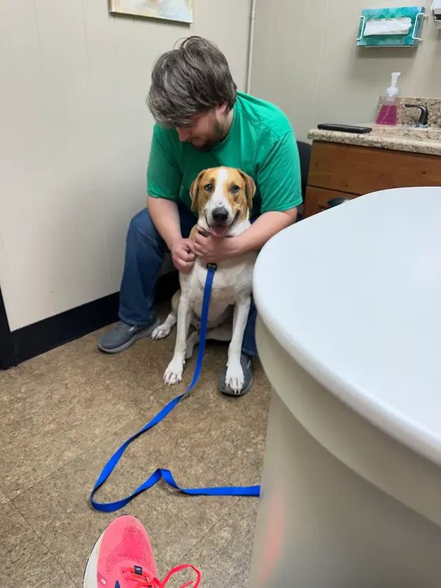Animal Medical Center of Jonesboro — customer photo 4