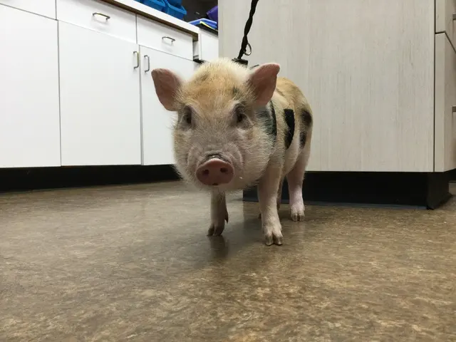 Animal Medical Center of Jonesboro — photo from the business 7