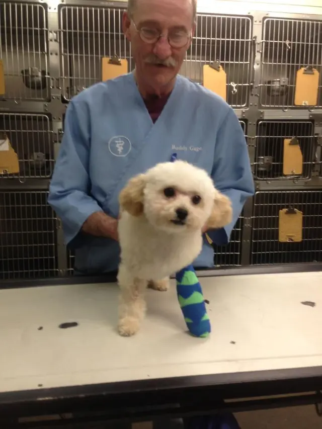 Animal Medical Center of Jonesboro — photo from the business 6
