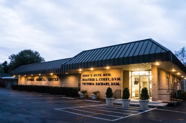 Animal Medical Center of Jonesboro — customer photo 2