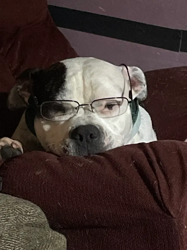 Trumann Animal Clinic — customer photo 8