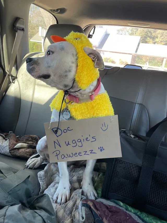 Trumann Animal Clinic — customer photo 6