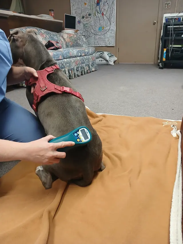 Trumann Animal Clinic — customer photo 9