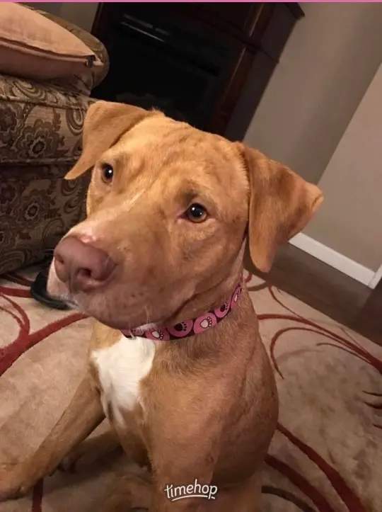 Trumann Animal Clinic — customer photo 7