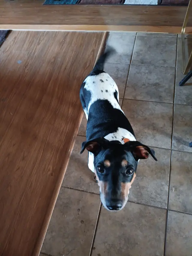Trumann Animal Clinic — customer photo 5