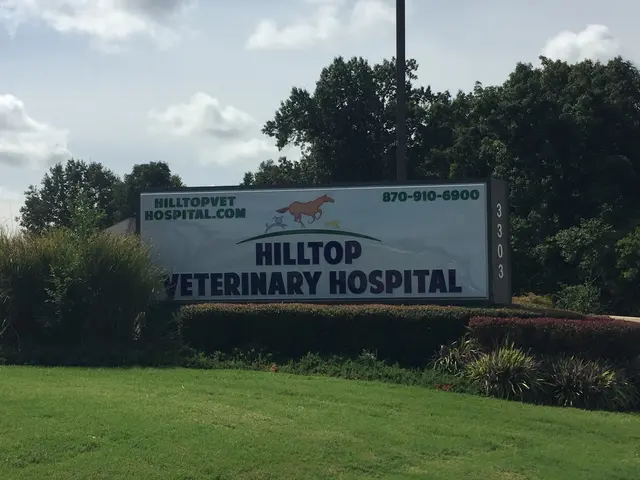 Hilltop Veterinary Hospital — photo from the business 5