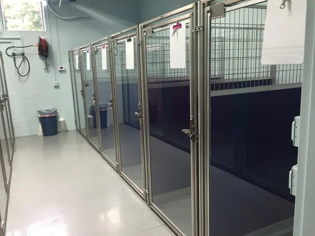Hilltop Veterinary Hospital — photo from the business 3