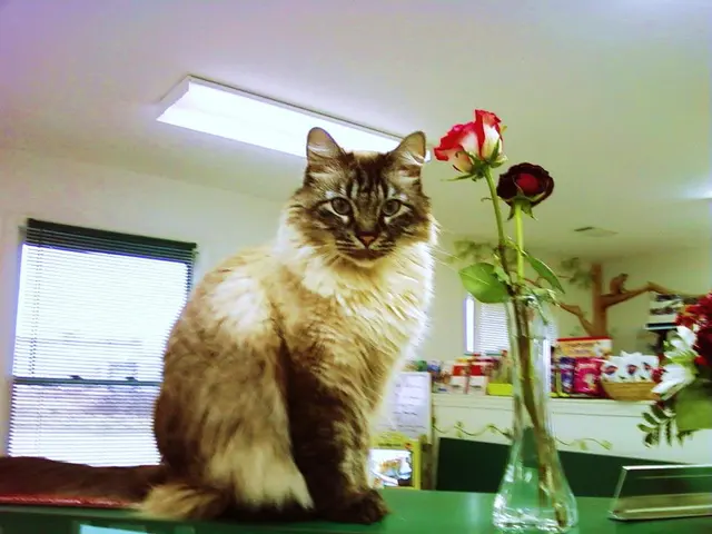 Woodsprings Animal Clinic — photo from the business 3