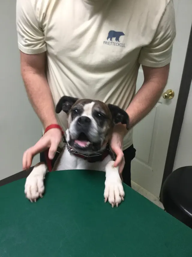 Woodsprings Animal Clinic — customer photo 6
