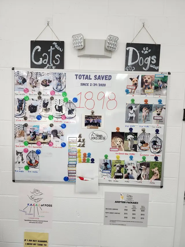 FOSS (Friends of Stokes Shelter) — customer photo 7