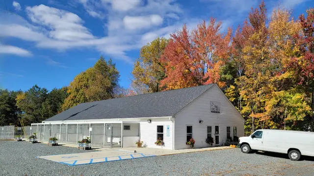 FOSS (Friends of Stokes Shelter) — customer photo 4