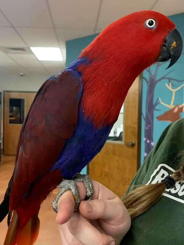 Rescue Ranch — customer photo 11