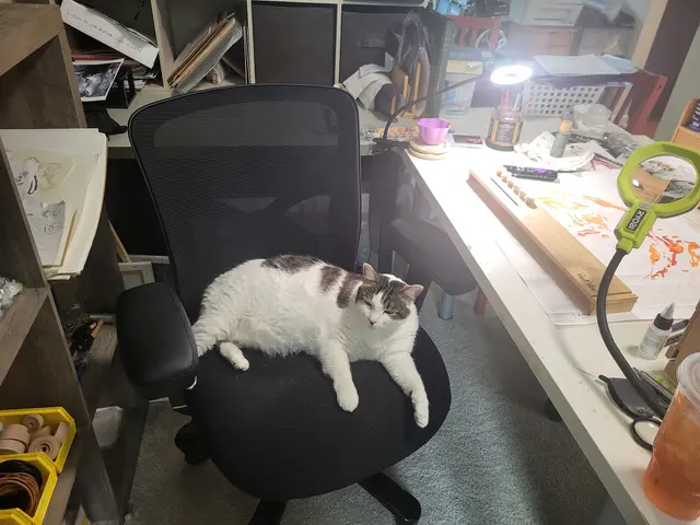 Customer photo of work by Animal Rescue Foster Program, from Ted Williams's review