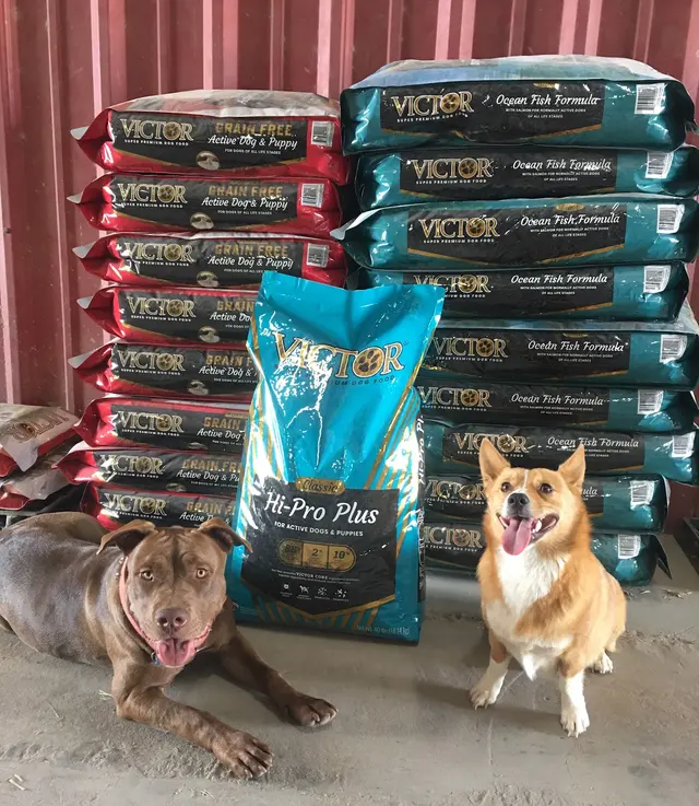 Shorty's Rental and Feed — photo from the business 4