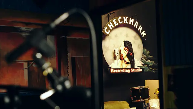 Checkmark Audio — photo from the business 1