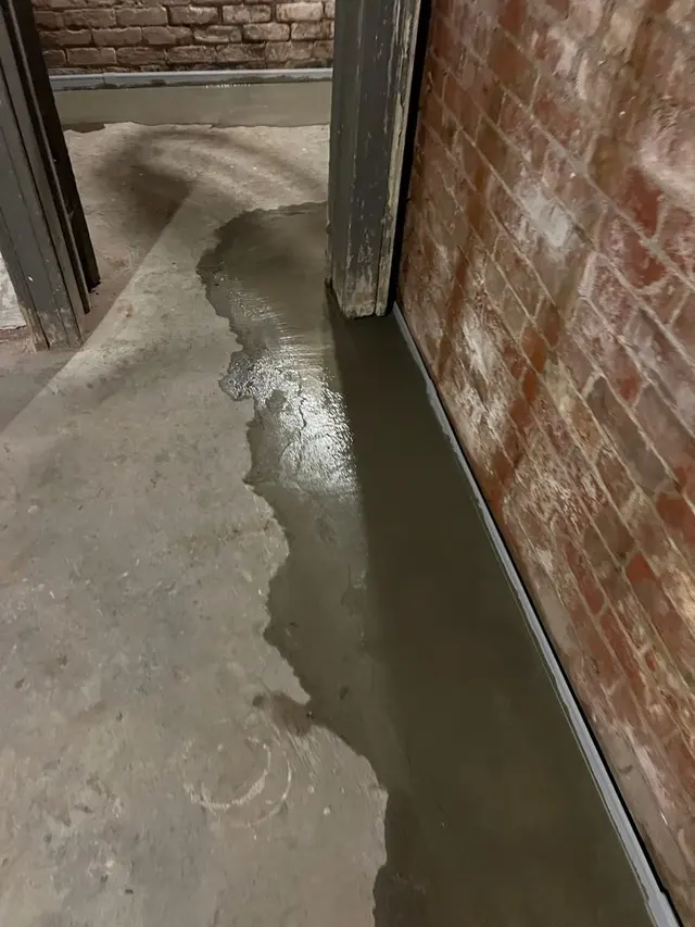 Customer photo of work by Michigan Basements, from Laura Mazor's review