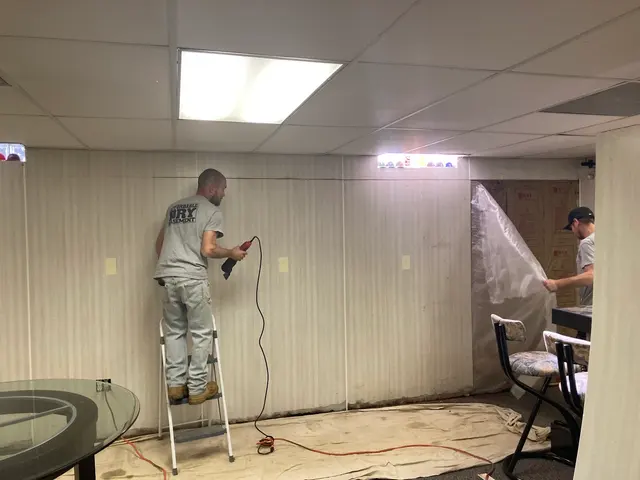 Affordable Dry Basement — customer photo 4