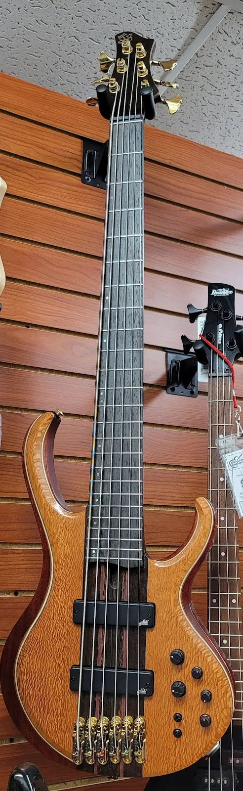 Constellation Musical Instruments — customer photo 9