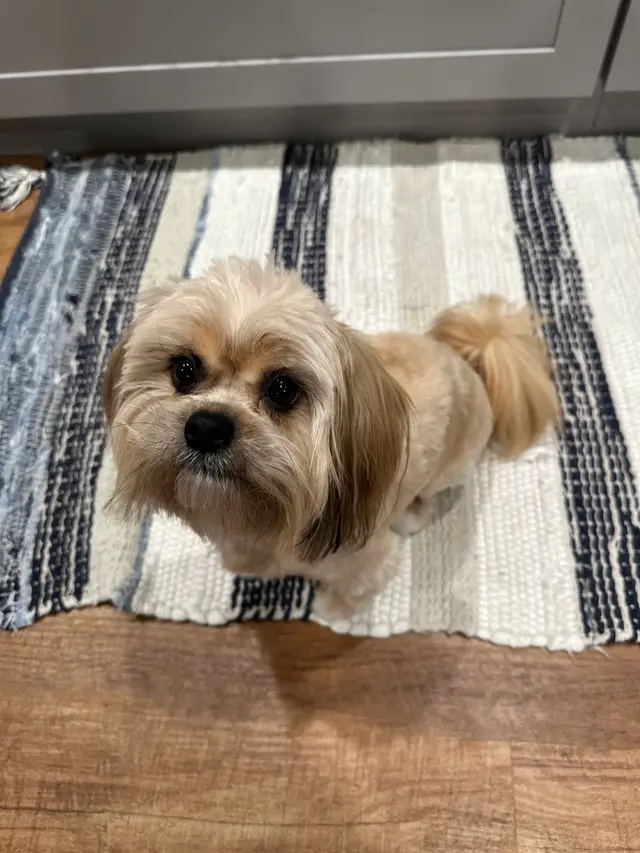 Morristown Animal Hospital — customer photo 2