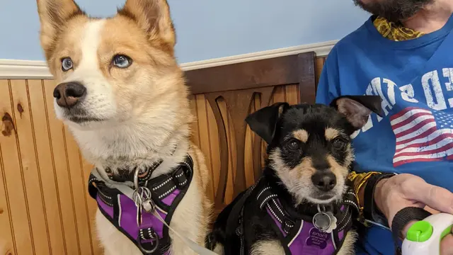 Morristown Animal Hospital — customer photo 7