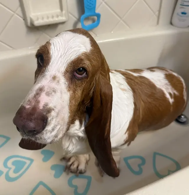 Morristown Animal Hospital — customer photo 3