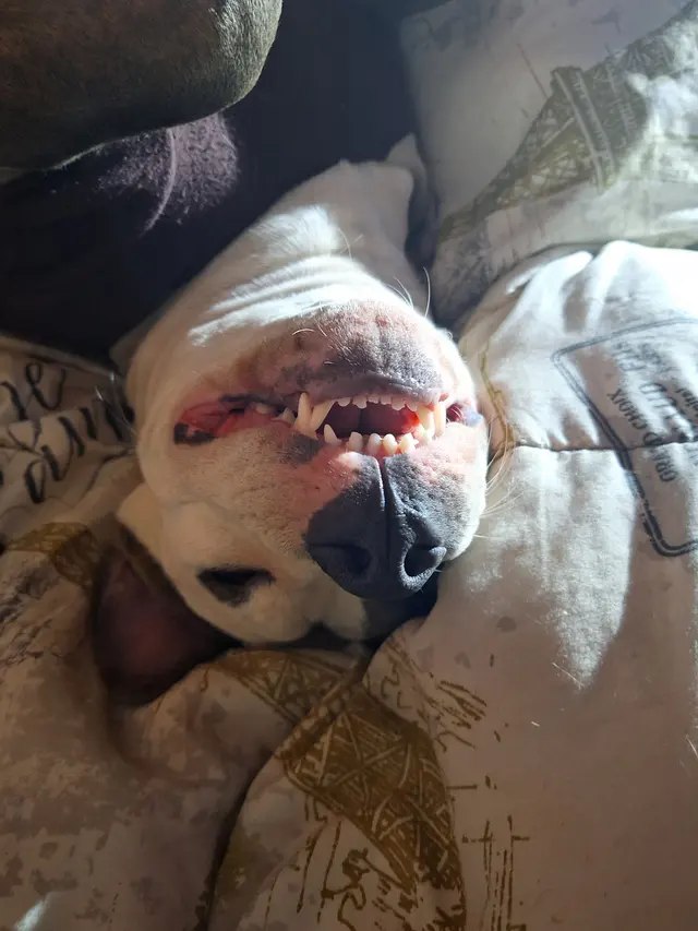 Appalachian Veterinary Hospital — customer photo 9