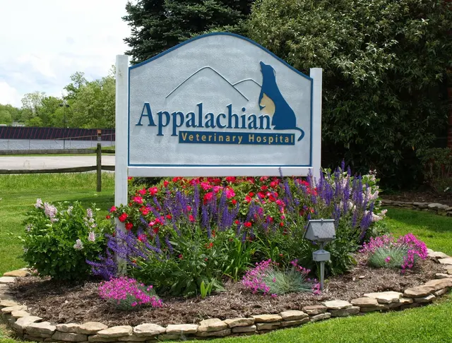 Appalachian Veterinary Hospital — photo from the business 4