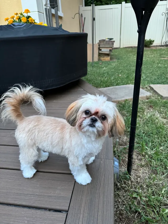 Moyers Veterinary Hospital — customer photo 5